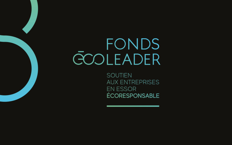 Expert du Fonds Écoleader